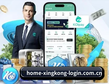 星空官网体育 APP 深度功能