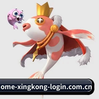 星空官网体育 APP
